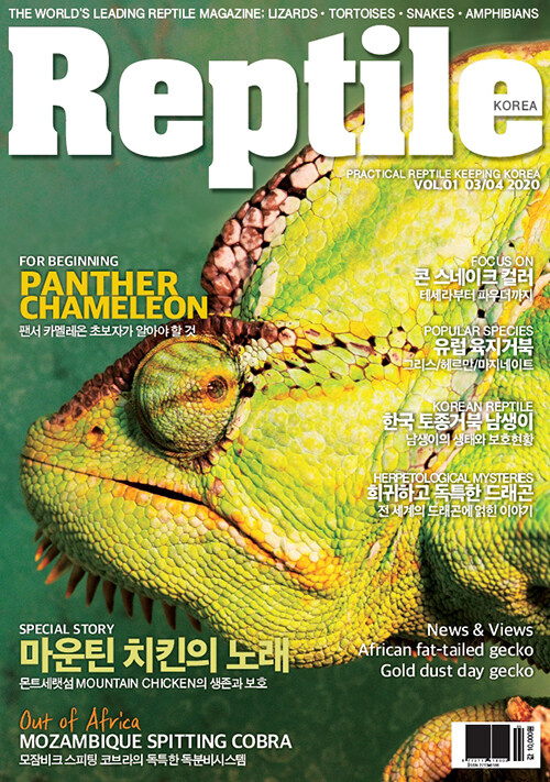 Reptile KOREA 렙타일 코리아 2020.3.4