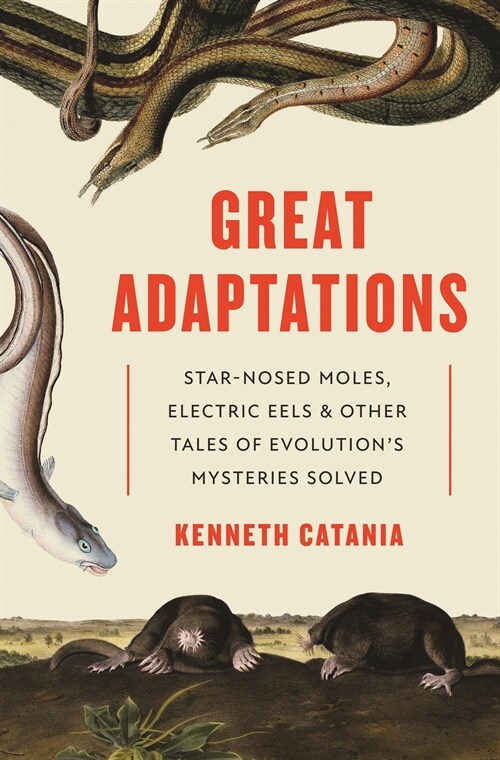 Great Adaptations: Star-Nosed Moles, Electric Eels, and Other Tales of Evolutions Mysteries Solved (Hardcover)