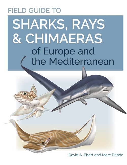 Field Guide to Sharks, Rays & Chimaeras of Europe and the Mediterranean (Paperback)