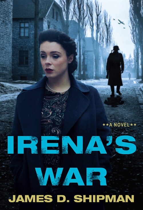 Irenas War (Paperback)
