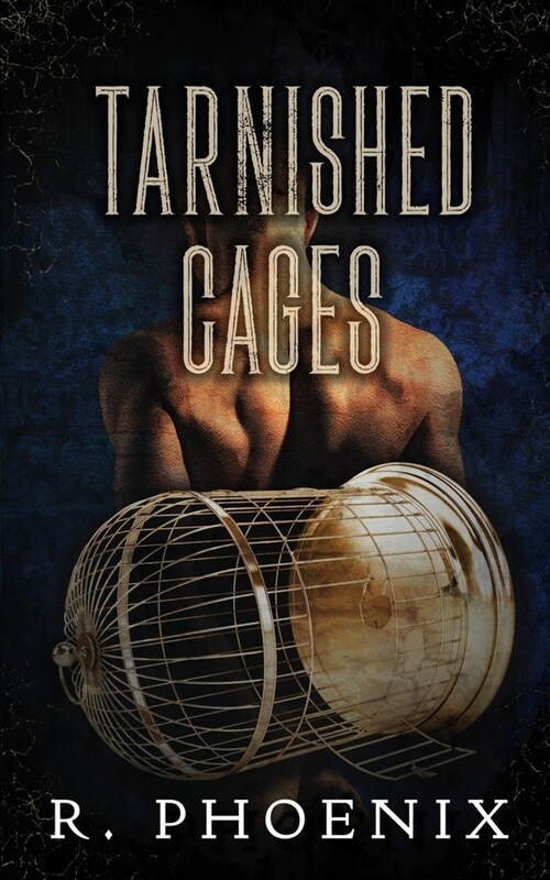Tarnished Cages: Sequel to Gilded Cages (Paperback)