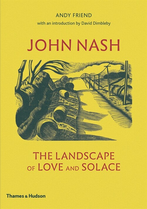 John Nash : The Landscape of Love and Solace (Hardcover)