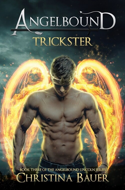 Trickster (Paperback)