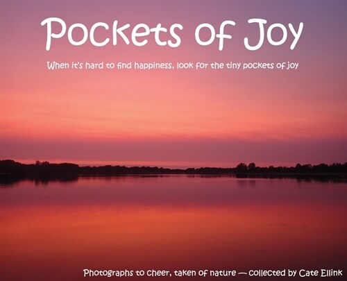 Pockets of Joy: When its hard to find happiness, look for the tiny pockets of joy (Hardcover)