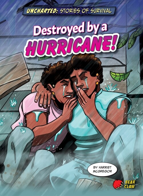 Destroyed by a Hurricane! (Paperback)