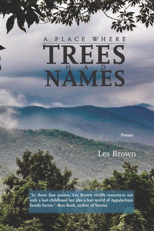A Place Where Trees Had Names: Poems (Paperback)