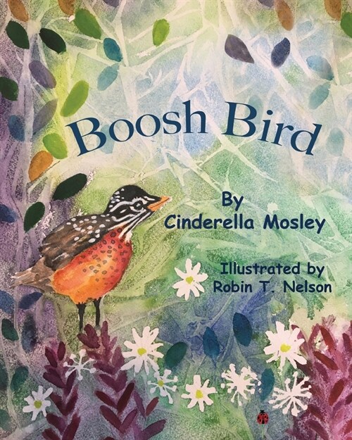 Boosh Bird (Paperback)