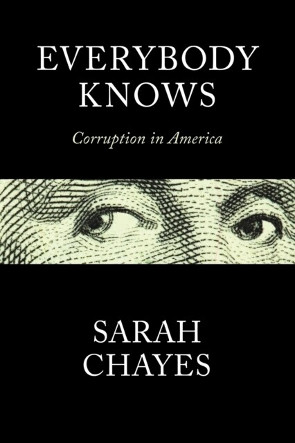Everybody Knows : Corruption in America (Hardcover)