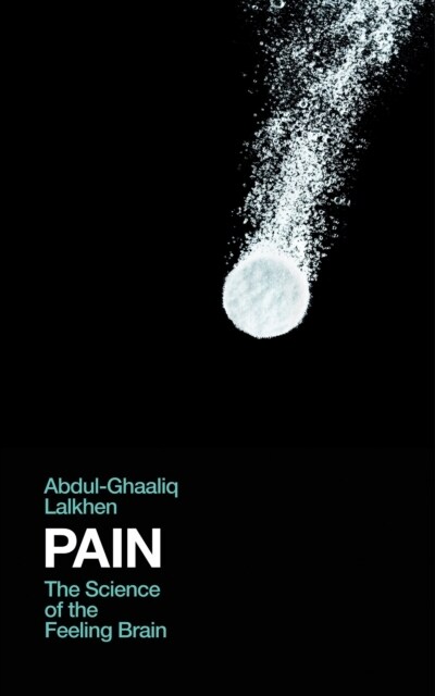 Pain : The Science of the Feeling Brain (Hardcover, Main)
