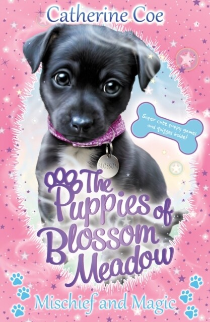 Mischief and Magic (Puppies of Blossom Meadow #2) (Paperback)