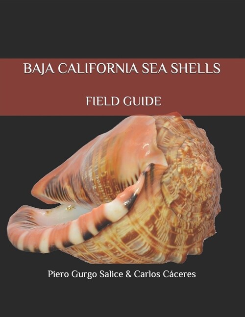 Baja California Seashells Field Guide (Paperback)