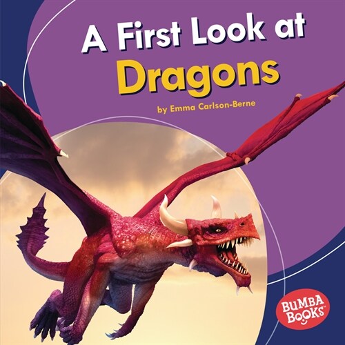 A First Look at Dragons (Library Binding)