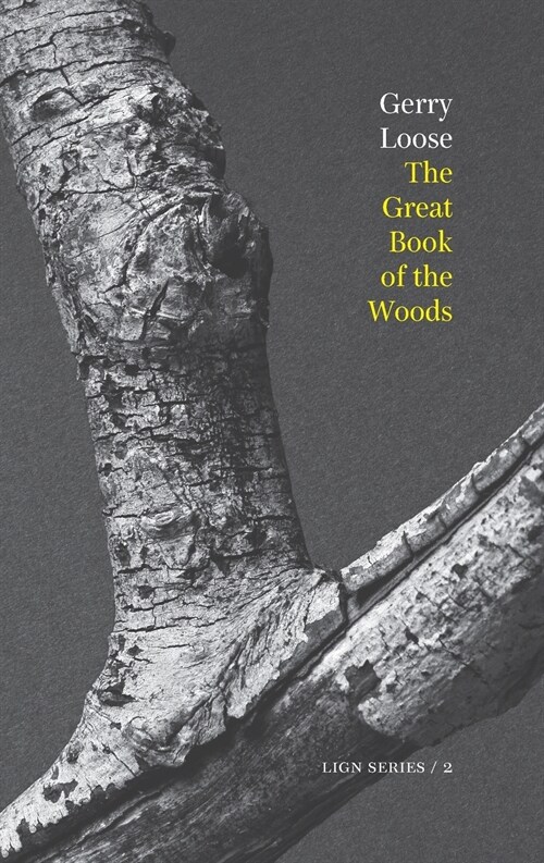 The Great Book of the Woods (Paperback)