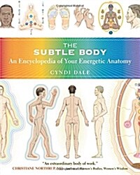 The Subtle Body: An Encyclopedia of Your Energetic Anatomy (Paperback)