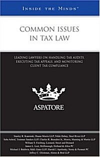 Common Issues in Tax Law (Paperback)