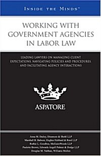 Working with Government Agencies in Labor Law (Paperback)