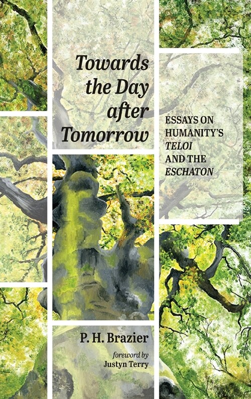 Towards the Day after Tomorrow (Hardcover)