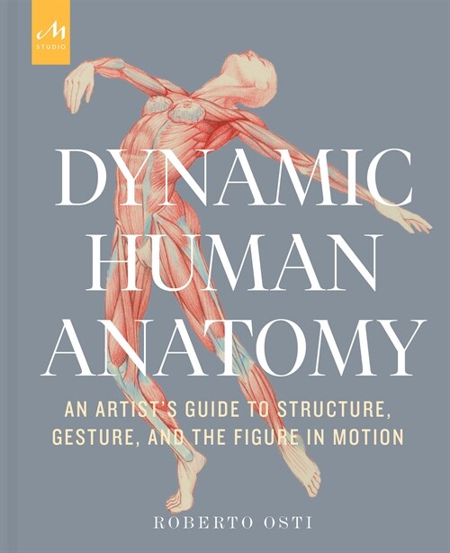 Dynamic Human Anatomy: An Artists Guide to Structure, Gesture, and the Figure in Motion (Hardcover)