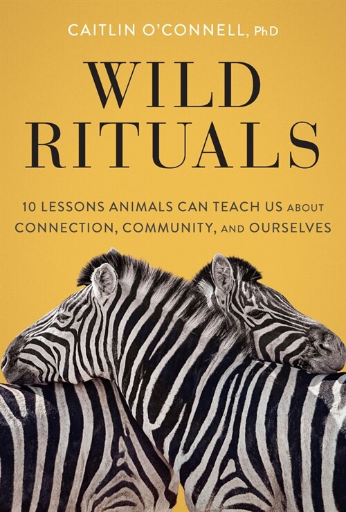 Wild Rituals: 10 Lessons Animals Can Teach Us about Connection, Community, and Ourselves (Hardcover)