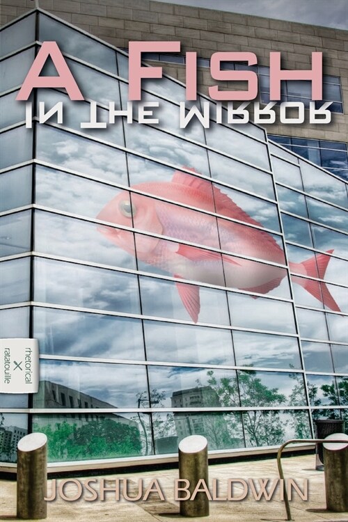 A Fish In The Mirror (Paperback)