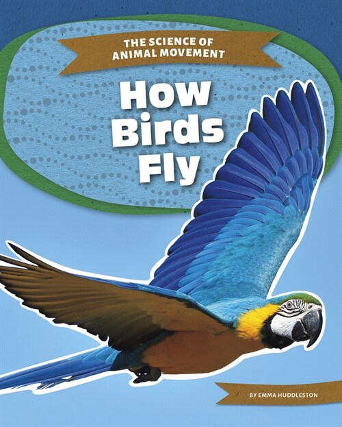 How Birds Fly (Paperback)