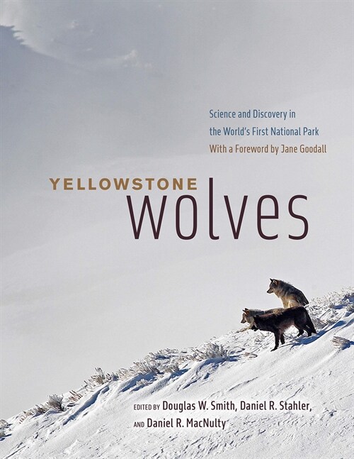 Yellowstone Wolves: Science and Discovery in the Worlds First National Park (Hardcover)