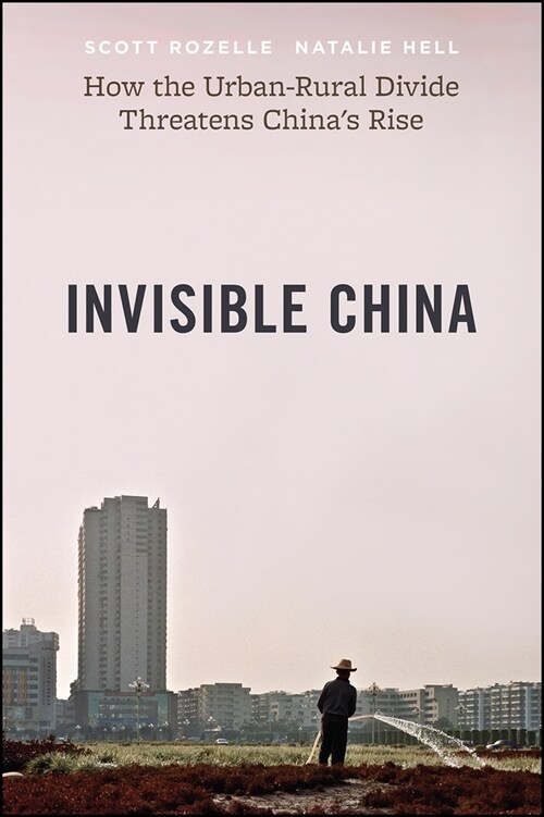 Invisible China: How the Urban-Rural Divide Threatens Chinas Rise (Hardcover)