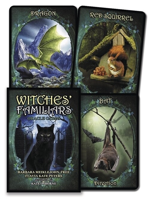 Witches Familiars Oracle Cards (Other)