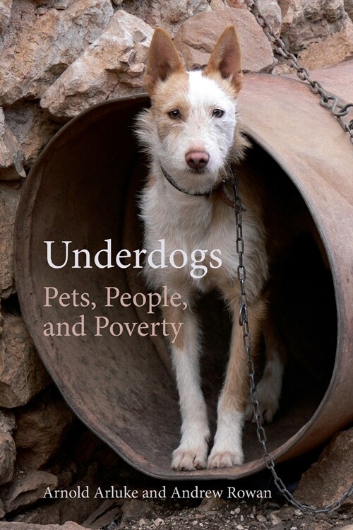 Underdogs: Pets, People, and Poverty (Paperback)