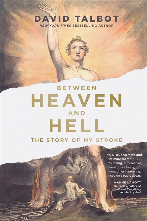 Between Heaven and Hell: The Story of My Stroke (Paperback)