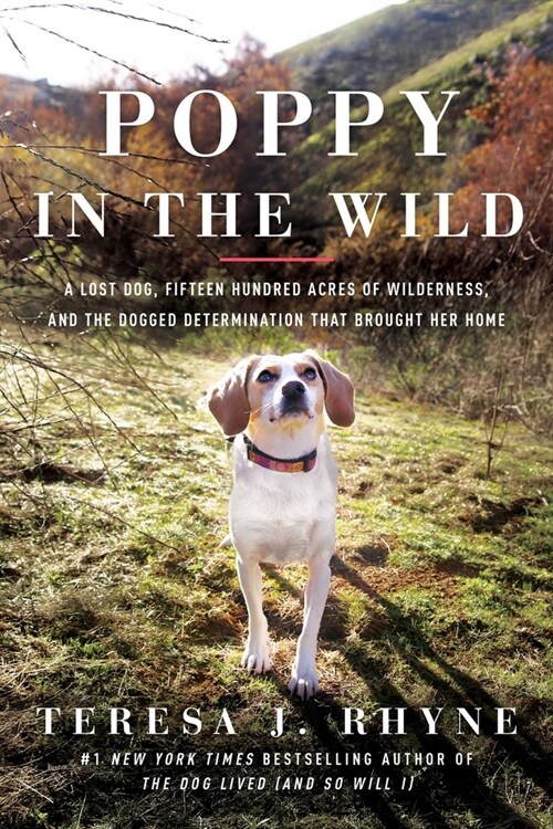 Poppy in the Wild: A Lost Dog, Fifteen Hundred Acres of Wilderness, and the Dogged Determination That Brought Her Home (Hardcover)