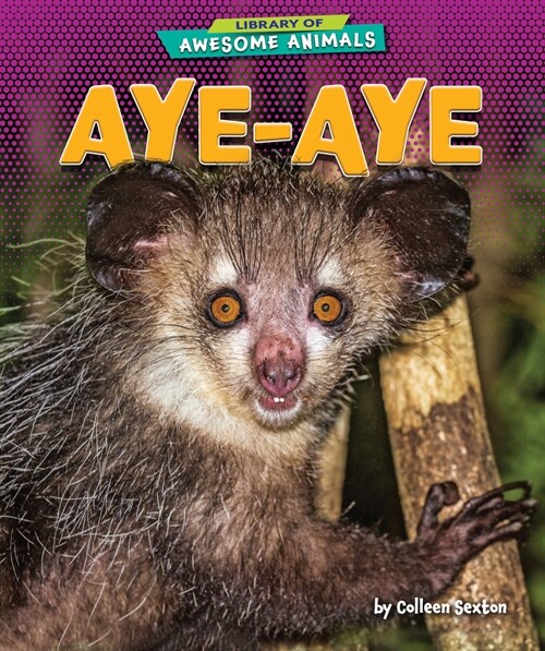 Aye-Aye (Paperback)
