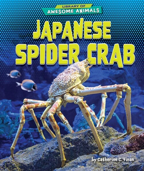 Japanese Spider Crab (Paperback)