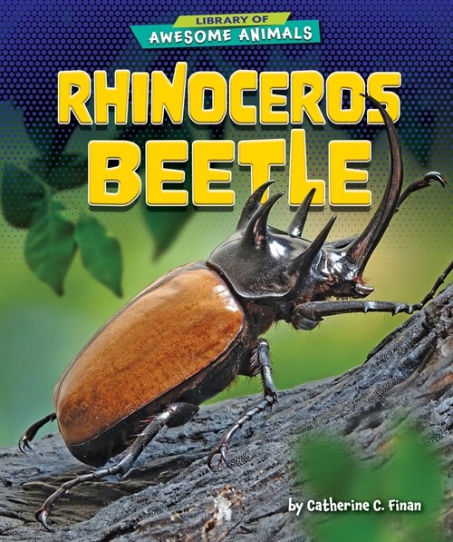Rhinoceros Beetle (Paperback)