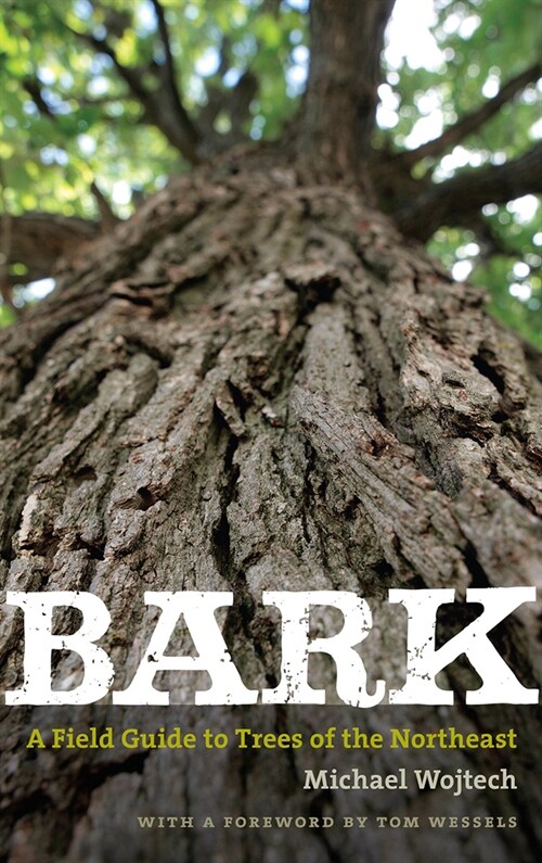 Bark: A Field Guide to Trees of the Northeast (Paperback, New Edition, wi)