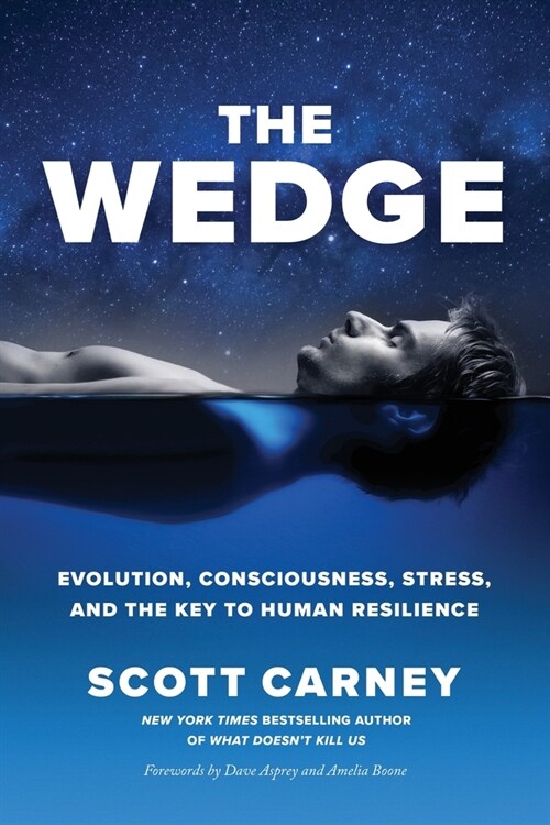 The Wedge: Evolution, Consciousness, Stress, and the Key to Human Resilience (Paperback)