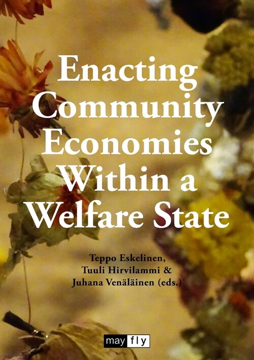 Enacting Community Economies Within a Welfare State (Paperback)