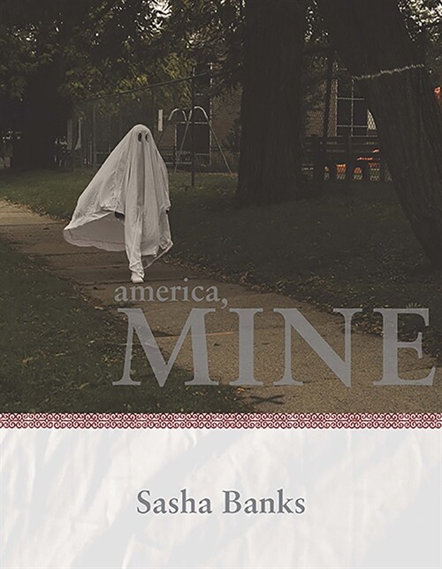 America, Mine (Paperback)