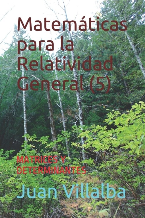 Matem?icas para la Relatividad General (5): Matrices Y Determinantes (Paperback)