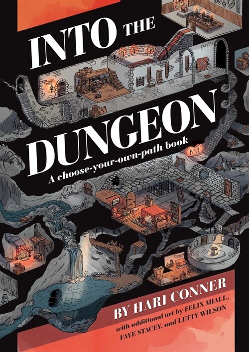 Into the Dungeon: A Choose-Your-Own-Path Book (Paperback)