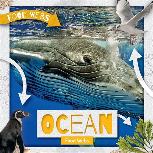 Ocean Food Webs (Paperback)