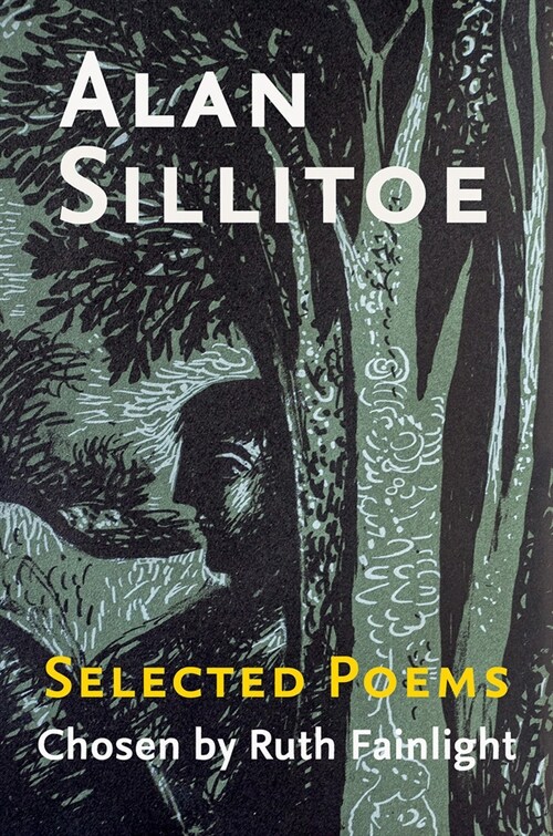 Selected Poems Chosen by Ruth Fainlight (Paperback)