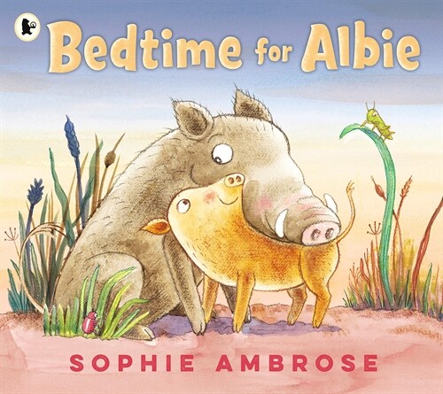 Bedtime for Albie (Paperback)