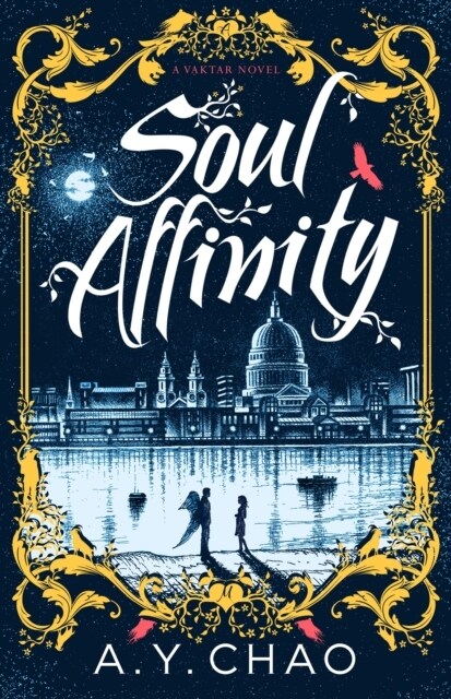 Soul Affinity : A Vaktar Novel (Paperback)