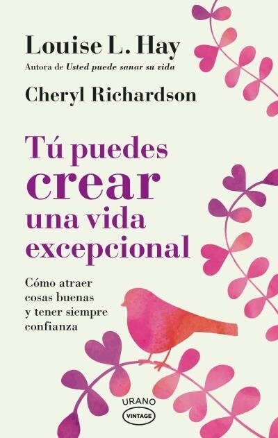 TU PUEDES CREAR UNA VIDA EXCEPCIONAL (Paperback)