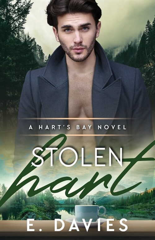 Stolen Hart (Paperback)