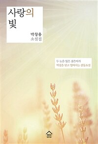 사랑의 빛 :박창용 소설집 
