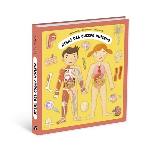 ATLAS DEL CUERPO HUMANO (Book)