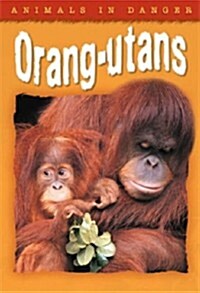 Animals in Danger: Orang-utans (Paperback)