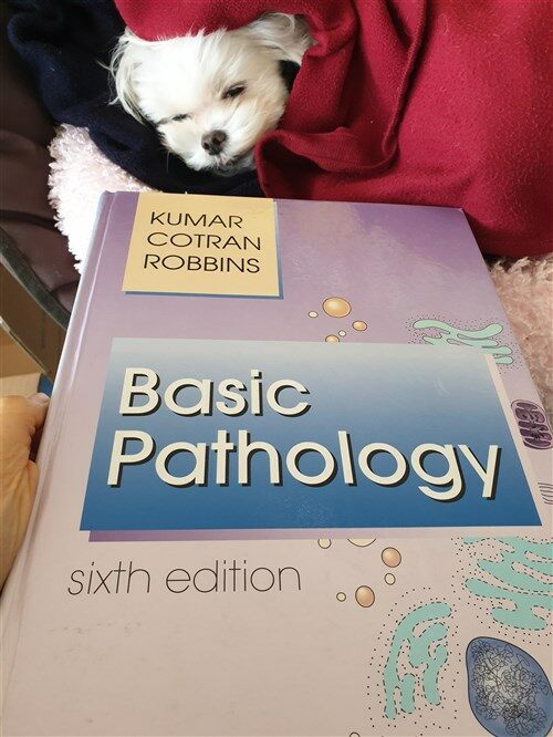 [중고] Robbins Basic Pathology (Hardcover, 7th, Subsequent)